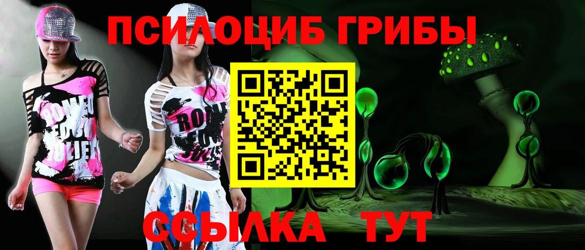 Псилоцибиновые грибы Magic Shrooms  Вход с VPN  Ефремов 